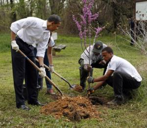 Barack Hussein Plants Tree